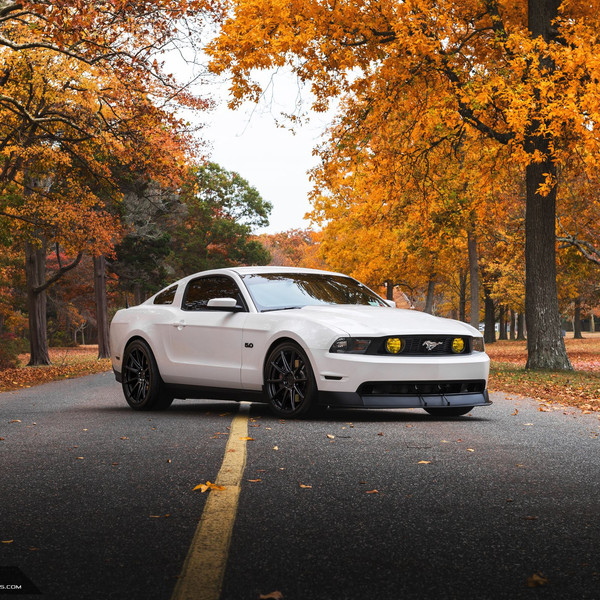 White Ford Mustang 5.0 with Custom Front Lip - Photo by Niche