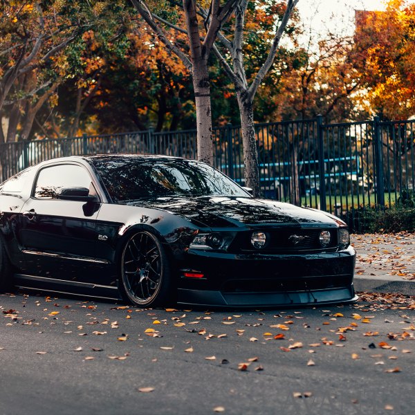 Custom Black Stanced Ford Mustang 5.0 - Photo by Avant Garde Wheels