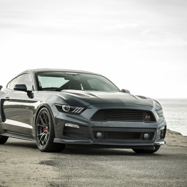 Dark Smoke Halo Headlights on Gray Ford Mustang - Photo by Vorstiner
