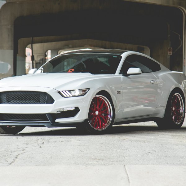 White Ford Mustang 5.0 with Blacked Out Mesh Grille - Photo by Vossen