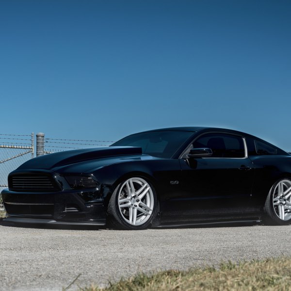Black Ford Mustang 5.0 with Aftermarket Hood - Photo by Velgen