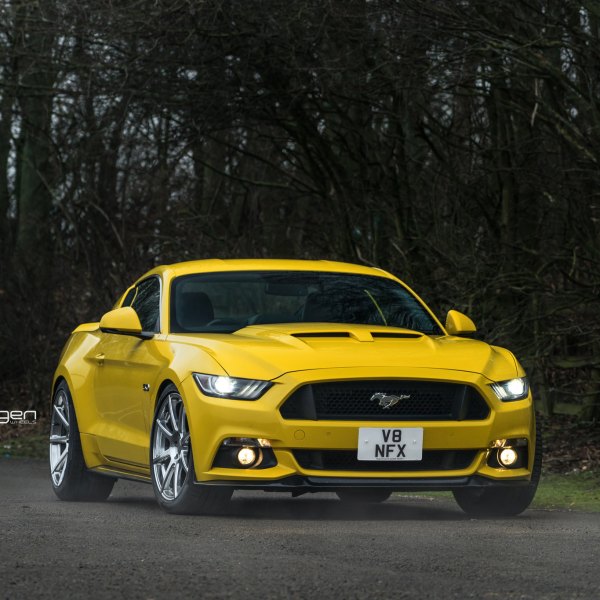 Custom 2016 Ford Mustang | Images, Mods, Photos, Upgrades — CARiD