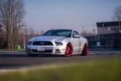 Candy Red Rims and Blacked Out Mesh Grille Adorning Gray Ford Mustang
