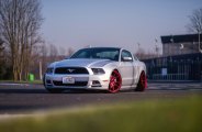 Candy Red Rims and Blacked Out Mesh Grille Adorning Gray Ford Mustang