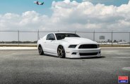 Stanced Stang: White Beauty Gets Dark Smoke Headlights