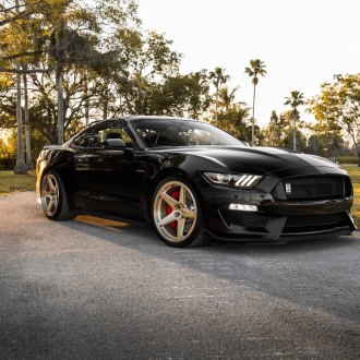 Dramatic Black Out Appearance of Ford Mustang Enhanced by Bronze Vossen