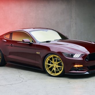 All Black Slammed Mustang GT with Widebody Fender Flares — CARiD.com ...