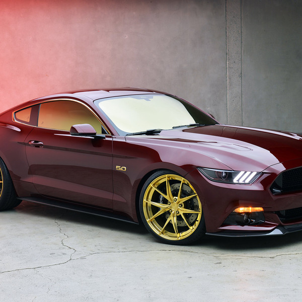 Awesome Looking Whipple Supercharged Mustang GT 5.0 - Photo by MAD Industries