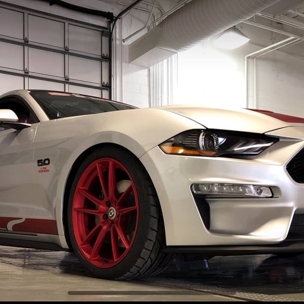 White Ford Mustang 5.0 with Blacked Out Mesh Grille - Photo by Steeda Performance