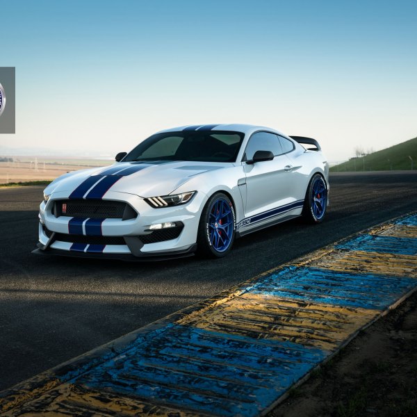 White Ford Mustang 5.0 with Dark Smoke Headlights - Photo by HRE Wheels