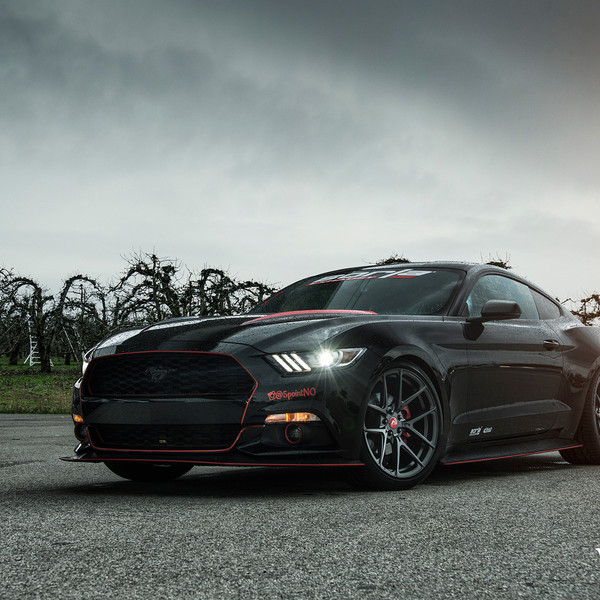 Menacing Ford Mustang GT S550 With Borla Exhaust - Photo by Vibe Motorsports