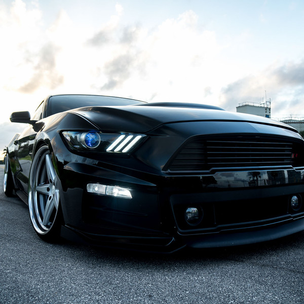 All Black Roush Mustang GT With Air Suspension on Vossen x Work Custom Wheels - Photo by Vossen