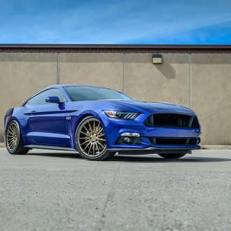 Classy Mustang Photgraphy - Electric Blue 5.0 - Photo by Niche