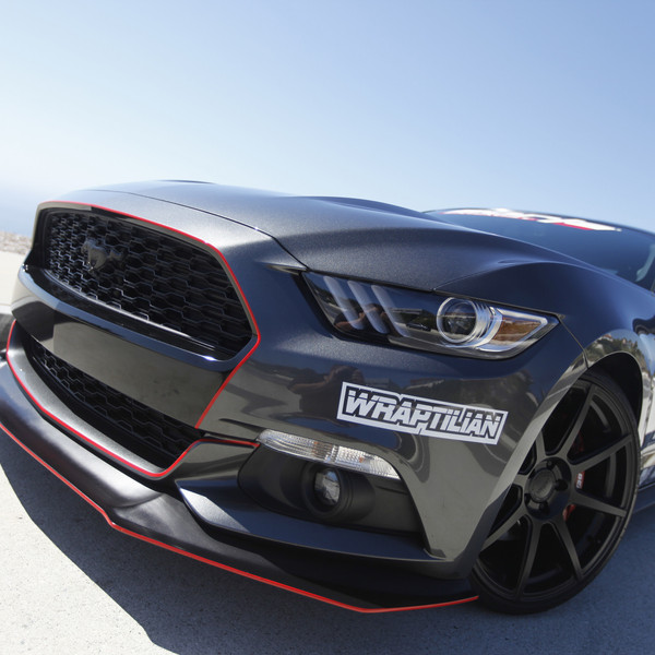 Dark Grey Mustang with Red Grille and Bumper Lip Accents - Photo by Vibe Motorsports