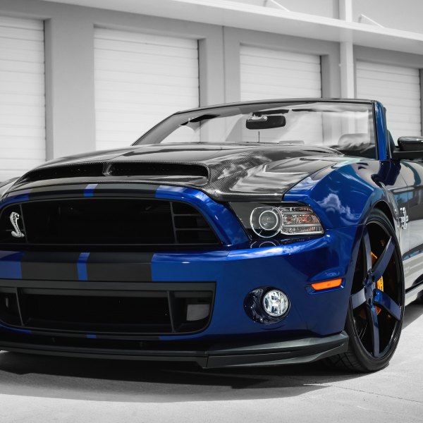 Shelby GT 500 Super Snake - Photo by Exclusive Motoring