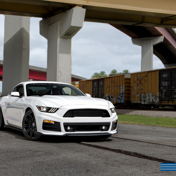 Gorgeous Mustang GT on Milan Matte Black Wheels - Photo by XO Luxury