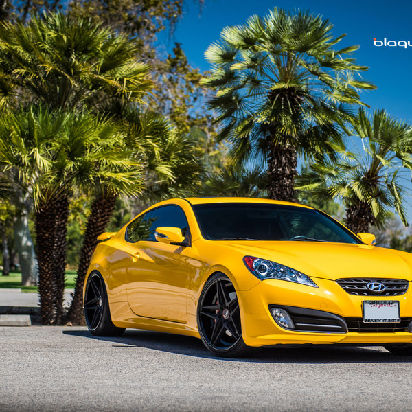 Front Bumper with Fog Lights on Yellow Hyundai Genesis Coupe - Photo by Blaque Diamond