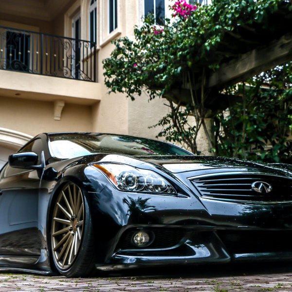 Front Bumper with Fog Lights on Black Infiniti G37 - Photo by Brian McCarthy