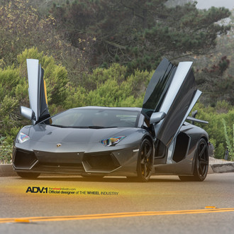 Gray Lamborghini Aventador with Vertical Doors - Photo by ADV.1