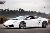 White Lamborghini Gallardo Looking Like an Angel with Mercury Silver Vorsteiner Rims on