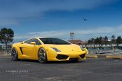 Exotic in Yellow: Lamborghini Gallardo in Disguise