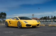 Exotic in Yellow: Lamborghini Gallardo in Disguise