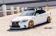 Gold Matter: Bespoke White Lexus IS on Custom Rims