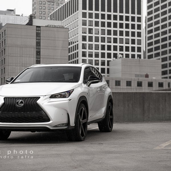 Dark Smoke Headlights on White Lexus NX - Photo by zandbox