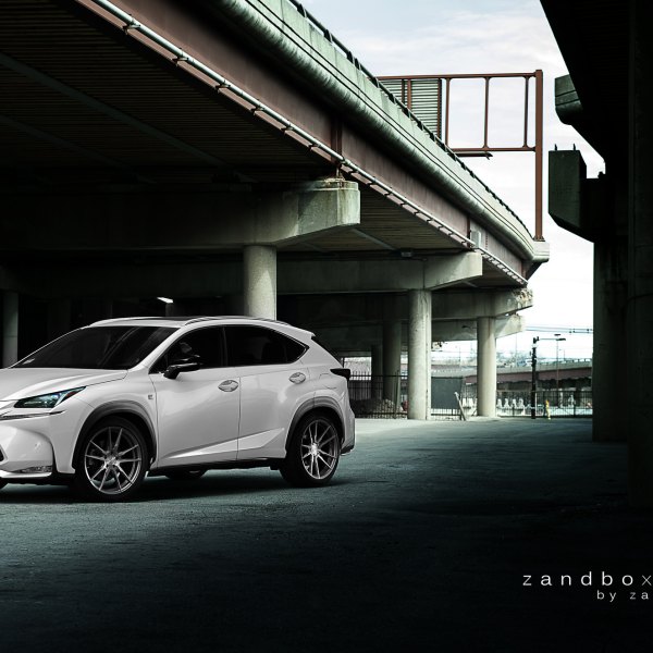 Aftermarket Headlights on White Lexus NX - Photo by zandbox