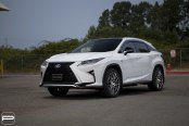 Conceited White Lexus RX with Aftermarket Parts