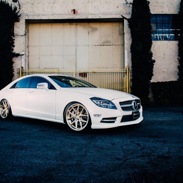 Chrome Grille on White Mercedes CLS - Photo by Avant Garde Wheels