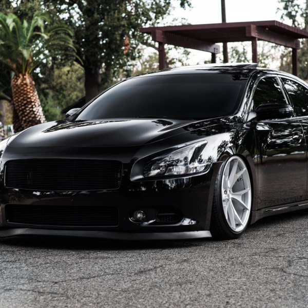 Custom Billet Grille on Black Nissan Maxima - Photo by Concept One