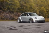 Modern Beetle With Extremely Low Stance and Rotiform Rims