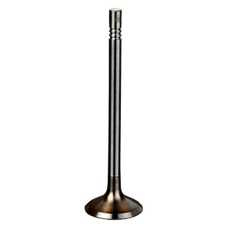 Intervalves® - Intake Valve
