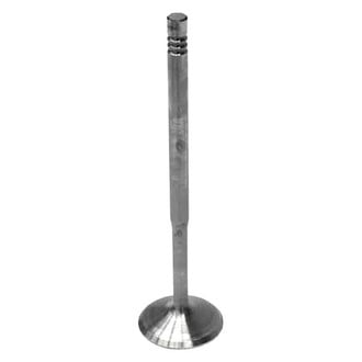 Intervalves® - Intake Valve