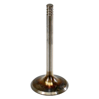 Intervalves® - Intake Valve