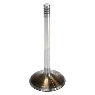Intervalves® - Intake Valve