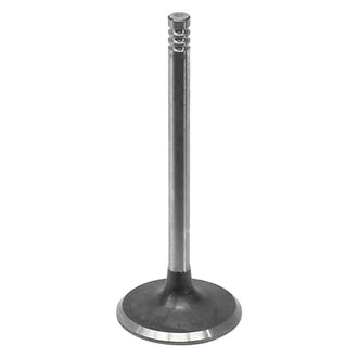 Intervalves® - Intake Valve
