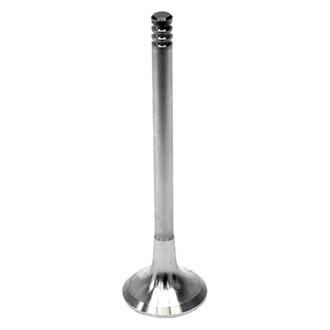 Intervalves® - Exhaust Valve