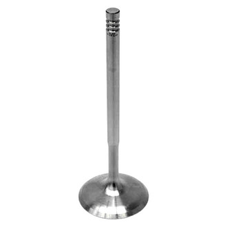 Intervalves® - Intake Valve