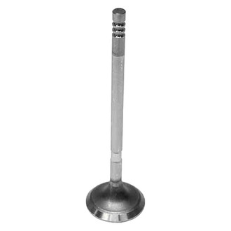 Intervalves® - Intake Valve