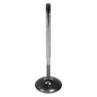 Intervalves® - Intake Valve