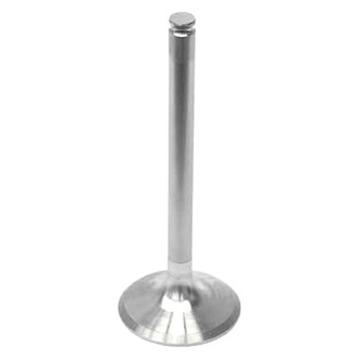 Intervalves® - Intake Valve