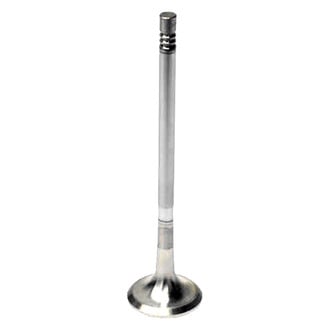 Intervalves® - Exhaust Valve