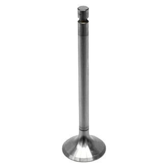 Intervalves® - Intake Valve
