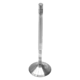 Intervalves® - Intake Valve