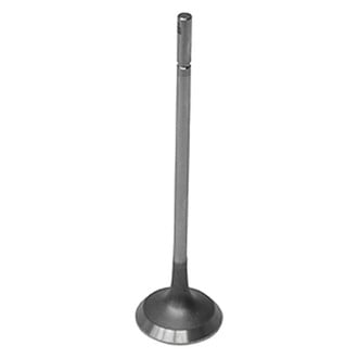 Intervalves® - Exhaust Valve