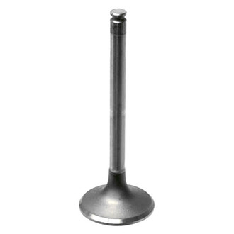 Intervalves® - Intake Valve