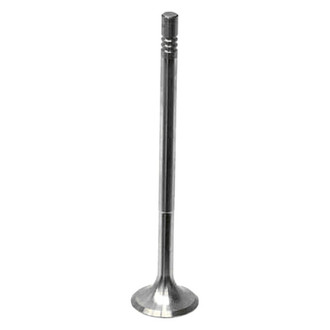 Intervalves® - Exhaust Valve