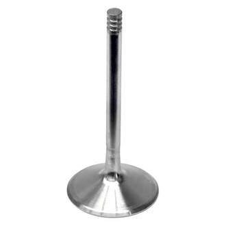 Intervalves® - Intake Valve